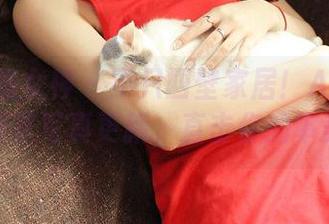 TGOD推女神 – 不只四壁家居！Akiki朱若慕居家写真更新，直击你的审美神经