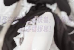 当猫田圣奈奈遇上食铁兽：高清作品集里的热情探秘！